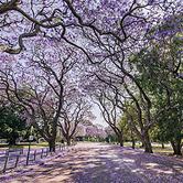 InterContinental Brisbane by IHG