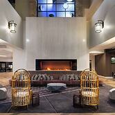 Hilton Lexington/Downtown