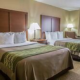 Comfort Inn Morris I-80