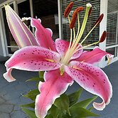 Nation's Inn of Wake County - Raleigh Crabtree