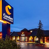 Comfort Hotel & Suites
