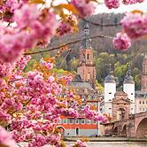 ibis Heidelberg Hauptbahnhof