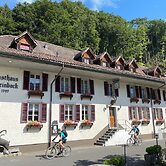 Historic Hotel Steinbock