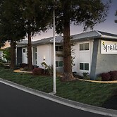 Spark by Hilton San Jose Airport