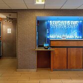 Fairfield Inn by Marriott Jackson Airport-Pearl