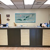 Bolongo Bay Beach Resort