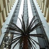 Transamerica Berrini