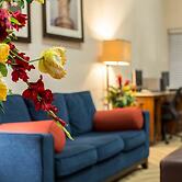 Comfort Suites Cumming-Atlanta near Northside Hospital Forsyth