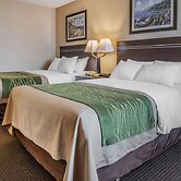 Comfort Inn On the Bay