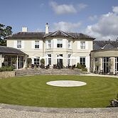 The Vineyard