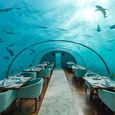 Conrad Maldives Rangali Island