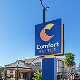 Comfort Suites Lake Jackson Clute