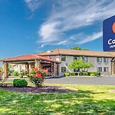 Comfort Inn & Suites West Springfield