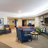 Larkspur Landing Select Carlisle