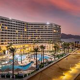 Vert Dead Sea