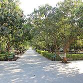 Gir Jungle Lodge