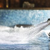 Salles Hotel Marina Portals