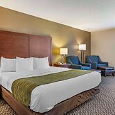 Comfort Inn Charlotte