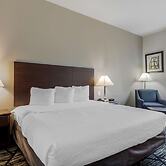BEST WESTERN PLUS McKinney Inn & Suites