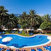 Sol Puerto De La Cruz Tenerife