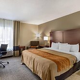 Comfort Inn Walcott near Davenport