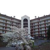 Gatlinburg Chateau Rentals