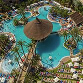 Magic Tropical Splash