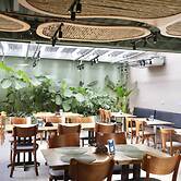 Transamerica Executive Nova Paulista