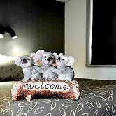 Young Goldrush Motel