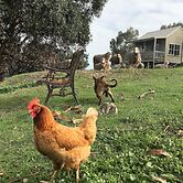 Balingup Highview Chalets