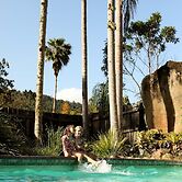 Mt Warning Rainforest Park
