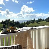 The Ridge