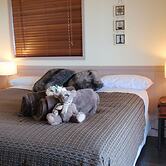 Maleny Luxury Cottages