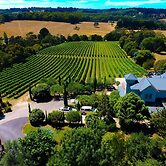 Morning Sun Vineyard