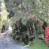 Te Nikau Retreat - Hostel