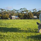 Freshwater Creek Cottages and Farm Stay