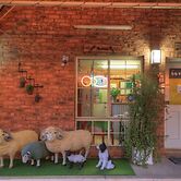 Shearing Shed Motor Inn