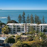Norfolks on Moffat Beach