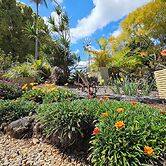 Alstonville Settlers Motel