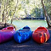 Jervis Bay Cabins & Hidden Creek Campsite