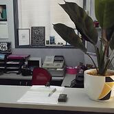 Bridge Street Motor Inn