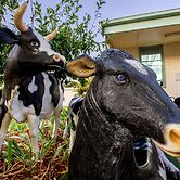 Big4 Shepparton Park Lane