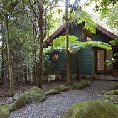 Springbrook Lyrebird Retreat