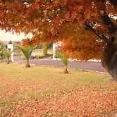 Mountain View Motel, Levin