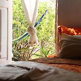 Farinha de Pau - Eco Rural Project