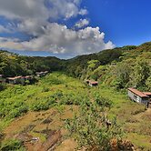 The Rainforest Ecolodge
