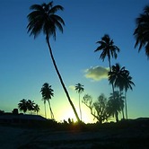 South Coast Ocean View Apartments