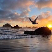 Sunset Oceanfront Lodging