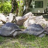 Hotel Cote d'Or Lodge