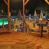 Pandora's Forest - Adults Only